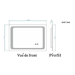 Acheter Miroir de salle de bain avec lumières Led 120x70cm (LxH)