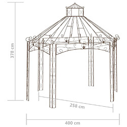 vidaXL Pavillon de jardin Marron antique 400x258x378 cm Fer pas cher