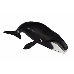 Safari Bowhead Baleine 