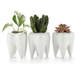 BESTA Lot de 3 pots, petit pot de fleurs en céramique pour plantes de cactus, porte-stylo, porte-crayons, cadeau d'anniversaire pour décoration de bureau à domicile 