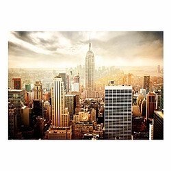 Paris Prix Papier Peint Uncombed By Wind 105 x 150 cm