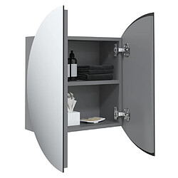 Acheter vidaXL Armoire de salle de bain miroir rond et LED Gris 40x40x17,5 cm