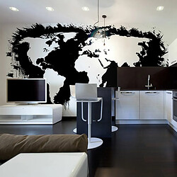 Paris Prix Papier Peint White Continents, Black Oceans... II 450x270cm