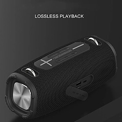 Acheter Yonis Enceinte Bluetooth Waterproof Portable Sans Fil 20W Autonomie 4-6H Son Haute Fidélité