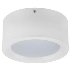 HOROZ ELECTRIC Plafonnier LED rond blanc 15W 4200K