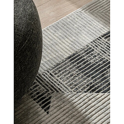 Avis Hadorn Tapis 275x185 gris clair Davos Grecian