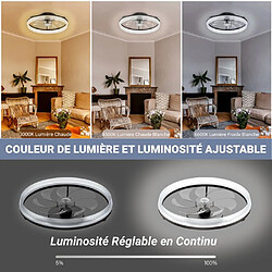 Ventilateur de plafond FIMEI avec Lumière Dimmable 3 Couleurs -6 Vitesses -Acrylique+cadre en fer