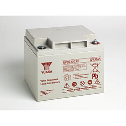 batterie - np - 38 ah - 12 volts - bac v0 fr - yuasa np38-12ifr