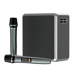 Yonis Enceinte Bluetooth Karaoke Portable 140W IPX5 Waterproof Son 3D 36000mAh