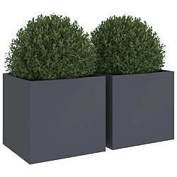 Avis vidaXL Jardinières 2 pcs anthracite 49x47x46 cm acier