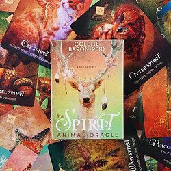 Avis Universal Spiritual Animal Oracle: A 68 Deck English Tarot Game Party Family