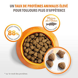 Acheter Iams Chat IAMS Vitality Croquettes - Poissons de l'océan - Pour chats adultes - Sac refermable 1,5 kg