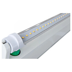 6x Showlite LED tube T8W24K45F-1500mm (lumière du jour 4500K)