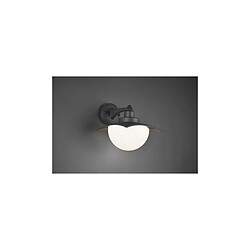 TRIO LIGHTING Applique Donez Anthracite 1x40W E27