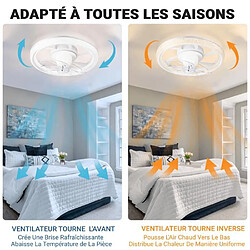 FIMEI Ventilateur de plafond NACATIN 360° ROTATION -6 Vitesses -Fonction Minuterie 48cm