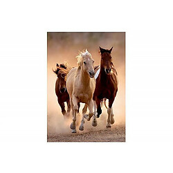 Puzzle 1000 pièces Clementoni High Quality Horses 