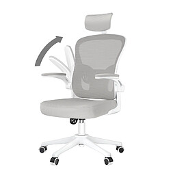 BIGZZIA Chaise de Bureau - Ergonomique Siège-Fauteuil avec 2D Accoudoirs, Hauteur Appui-tête Soutien Lombaire Dossier Règalable Gris 