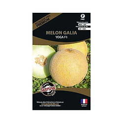 Sanrival Graines potagères premium melon Galia Yoga