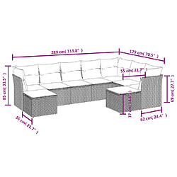 Avis vidaXL Salon de jardin avec coussins 9 pcs marron résine tressée