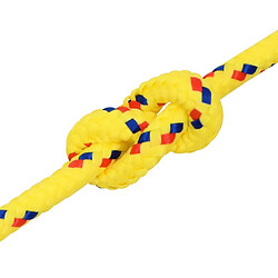 Acheter vidaXL Corde de bateau Jaune 6 mm 250 m Polypropylène