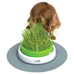 Cat It Sense Jardin d'Herbe à Chat Senses 2.0 - Cat It