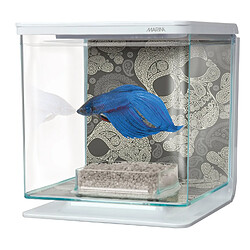 Aquarium Marina Betta Kit 2L Tête de mort