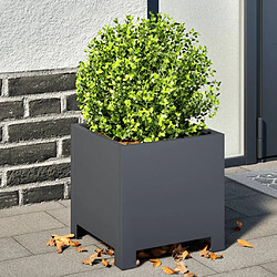 vidaXL Jardinières 2 pcs anthracite 30x30x30 cm acier 