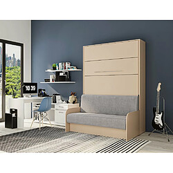 Acheter Inside 75 Armoire lit escamotable SOFA AUTOMATICA 140 cm taupe MECANIQUE SEDAC MERAL