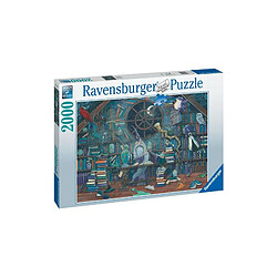 Ravensburger - Puzzle 2000 pieces - Merlin lenchanteur / Zoe Sadler