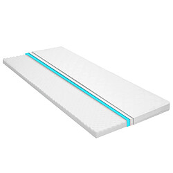 vidaXL Sur-matelas 100 x 200 cm Mousse froide Profil d'œuf 6 cm