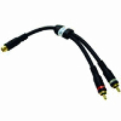 Cables To Go C2G Velocity RCA Jack/RCA Plug X2 Adapter Y-Cable 2 x RCA Plug Noir