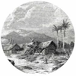 WallArt Papier peint cercle Landscape of Guadeloupe 190 cm