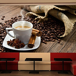 Paris Prix Papier Peint Star Anise Coffee II 270x450cm