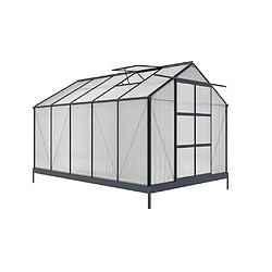 Vente-Unique Serre de Jardin en polycarbonate de 9 m² avec embase - Anthracite - COROLLE II