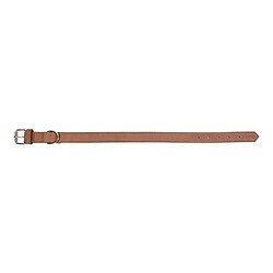 Avis Collier pour Chien Gloria Oasis Marron (40 x 1,5 cm)