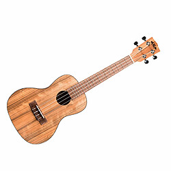 Pacific Walnut Concert Kala