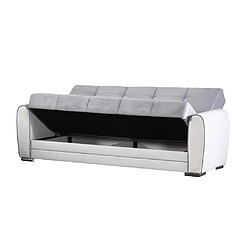 Avis Alter Canapé-lit conteneur 3 places, 220 x 84 x 91h cm, avec structure blanche et assises grises