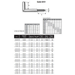 Gfd Gonds à vis acier zingué blanc NFE 25611 6x70 boîte de 100 pièces - ACTON - 144042