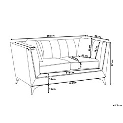 Avis Beliani Canapé 2 places en velours gris GAULA