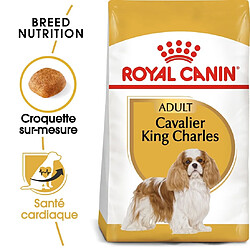 Royal Canin Race Cavalier King Charles Adult