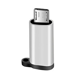 type c adaptateur avec chargeur de trousseau pour connecteur usb micro convertisseur argent Adaptateur Convertisseur USB vers Moniteur