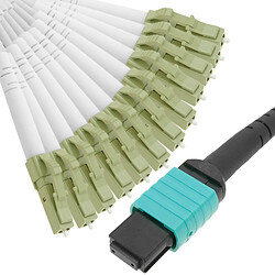 Bematik Câble Fanout à fibre optique OM3 multimode 50µm/125µm MTP/PC à 12 x LC/PC 10Gb de 2 m