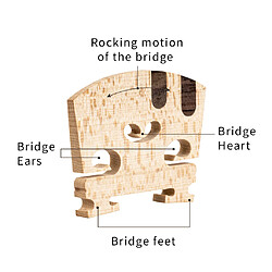 Pièces de pont de cordes de violon