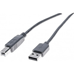 Abi Diffusion Cordon éco USB 2.0 type A /B gris - 3,0 m