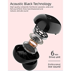 Pradel Premium Écouteurs Bluetooth sans Fil 5.0 TWS - NOIR