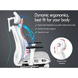 Avis ALFORDSON Chaise de Bureau Siège Ergonomique en Maille Travail de Direction Jeu