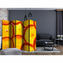 Paris Prix Paravent 5 Volets Orange Slices 172x225cm