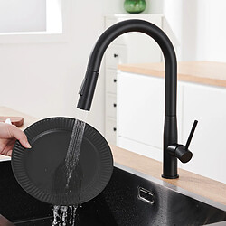 AURALUM MAX Robinet Cuisine Douchette,Mitigeur Cuisine avec Douchette, Robinetterie Cuisine avec Douchette Extractible Eau Froide/Chaude,Noir 