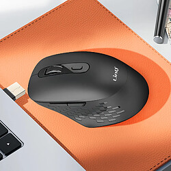 Avis LinQ Souris Sans Fil WiFi et Bluetooth 2.4G avec Dongle USB C et USB Noir