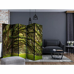 Paris Prix Paravent 5 Volets Tree Embrace 172x225cm